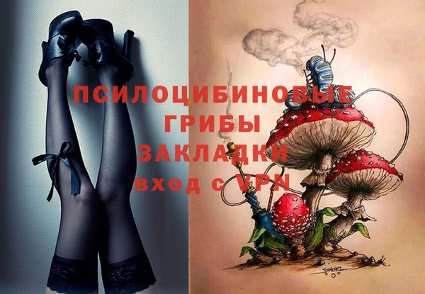 винт Гусь-Хрустальный