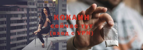 соль ск Дмитровск