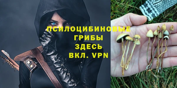 бошки Тавда
