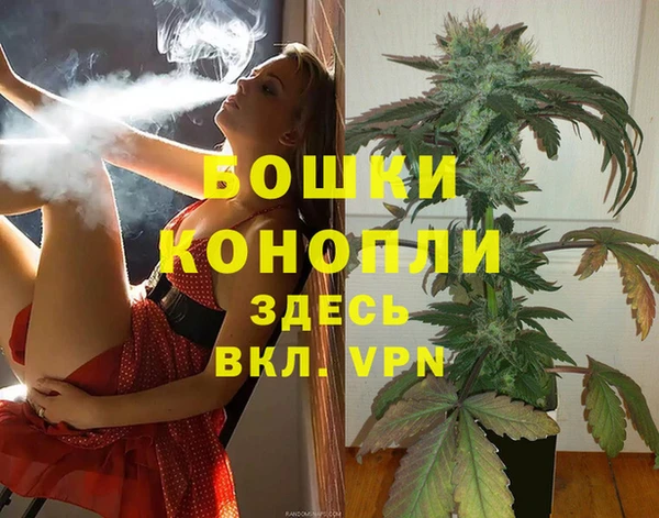 круглые Гусев