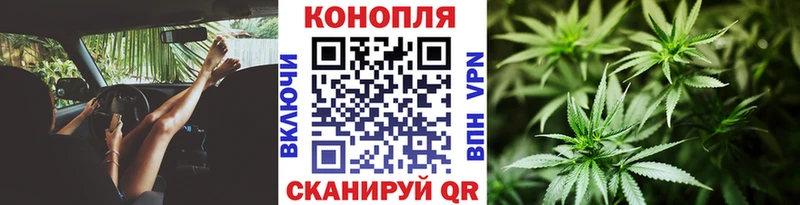 Бошки Шишки MAZAR Купить где Зеленогорск
